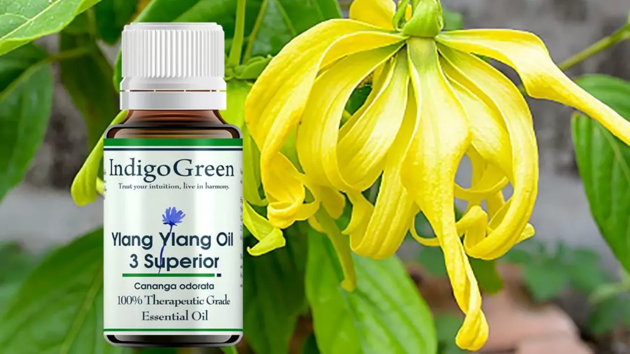 Olio di Ylang Ylang: l'integratore alimentare sottovalutato che devi provare oggi